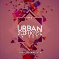 Live Forever (5th Avenue Deep Mix) — Vince Lourenzo