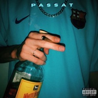 Passat - Single - Koto
