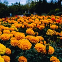 One in the Chamber - Single - s0cliché