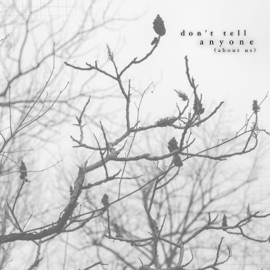 Don't Tell Anyone (About Us) mystery_o