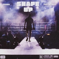 Shape Up (feat. Tinywiings) - Single - Dibbs