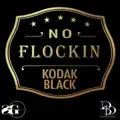 No Flockin`