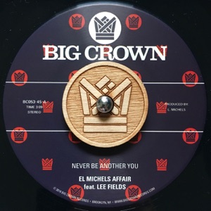 Never Be Another You (Reggae Remix) / Never Be Another You (Reggae Remix Dub) [feat. Lee Fields] - Single