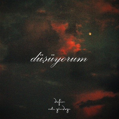 Düşüyorum - Single