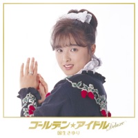 こわれた太陽