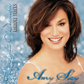 The Lights of December (Karaoke)