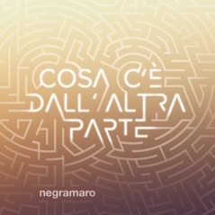 Cosa C'é Dall'Altra Parte - Single