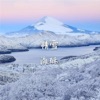 海酥 - 难得有情人