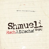 Mach a Bracha! artwork