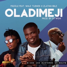 Oladimeji (feat. Wale Turner & Zlatan Ibile) Frizzle