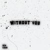 Without You (feat. Cush) - Single