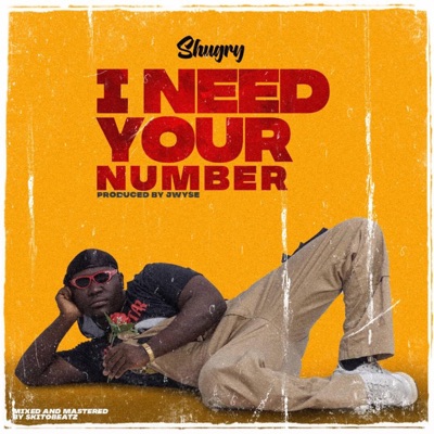 I Need Your Number - Single