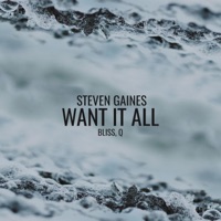 Want It All (feat. Bliss & Q) - Single - Steven Gaines