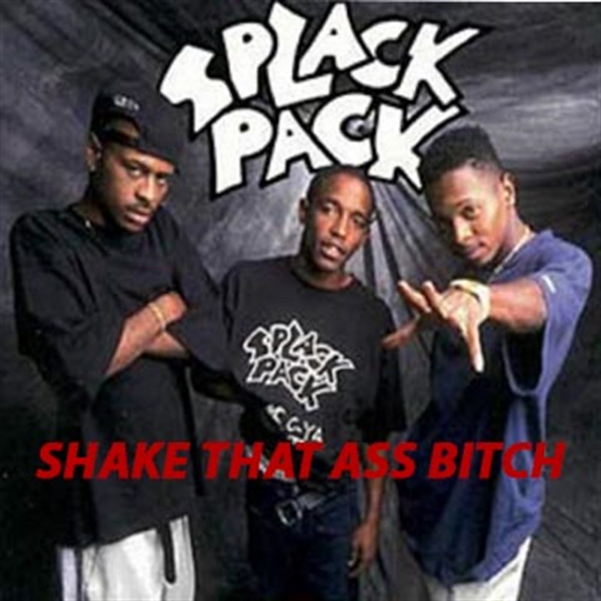 Shake That Ass Bitch – Album par Splack Pack – Apple Music