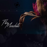 Flor Marchito - Single - Lex & L.A