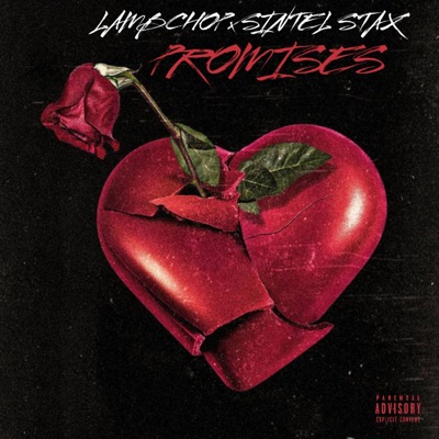 Promises (feat. SintelStax) - Single