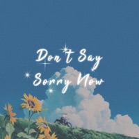 Don't Say Sorry Now - Single - Lameboysharp
