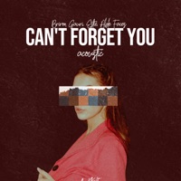 Can't Forget You (Acoustic) - Single - Able Faces, Briron Gauri & Estie