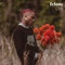 Felony - CKay lyrics