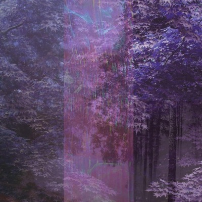 Where are we (feat. Kanashi) - Single