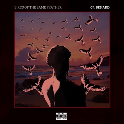 Birds of the Same Feather