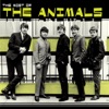 The Animals