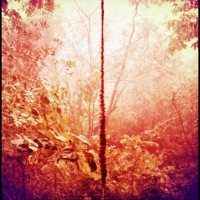 Enchanted Hallways - Nick Barbachano
