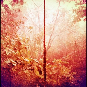 Enchanted Hallways