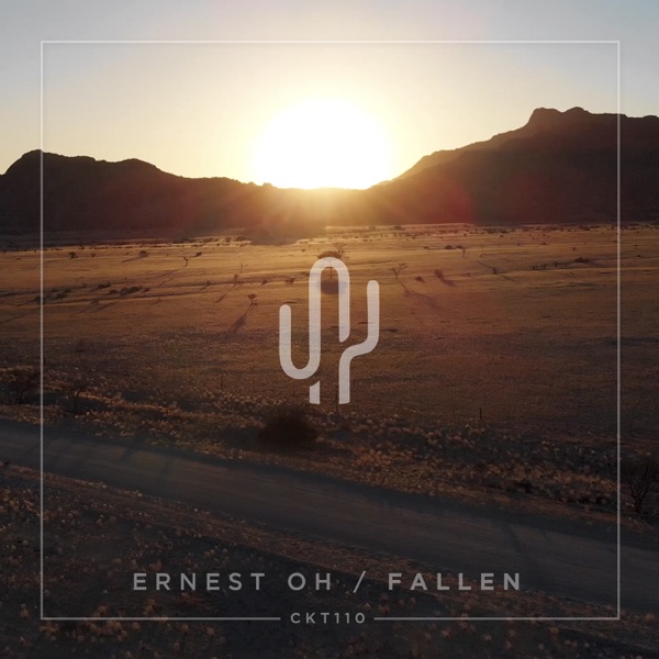 Fallen - Single