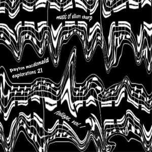 Explorations 21 (Foliage)