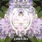 Pistilo - Single