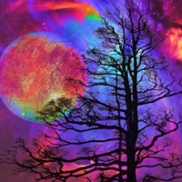 Before I Die (feat. 0pp0site) - Single - Bootybread