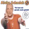 Aleks Schmidt - Du hast mir gerade noch gefehlt (Radio Mix)