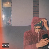 Polaroid Prince - Cash Benjamin