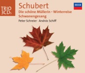 Schubert: Song Cycles - Die schöne Müllerin - Winterreise - Schwanengesang artwork