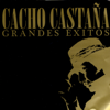 15 Grandes Éxitos - Cacho Castaña