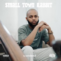 Small Town Rabbit - DJ Kaymoworld