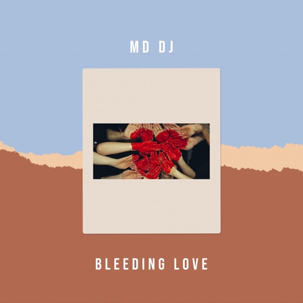 Bleeding Love - Single