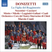 Donizetti: La Figlia del Reggimento artwork