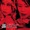 Belle and Sebastian - Born To Act