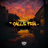 Calle Fría - Single - Golden MX