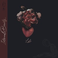 Internal Beauty - Single - Lylo