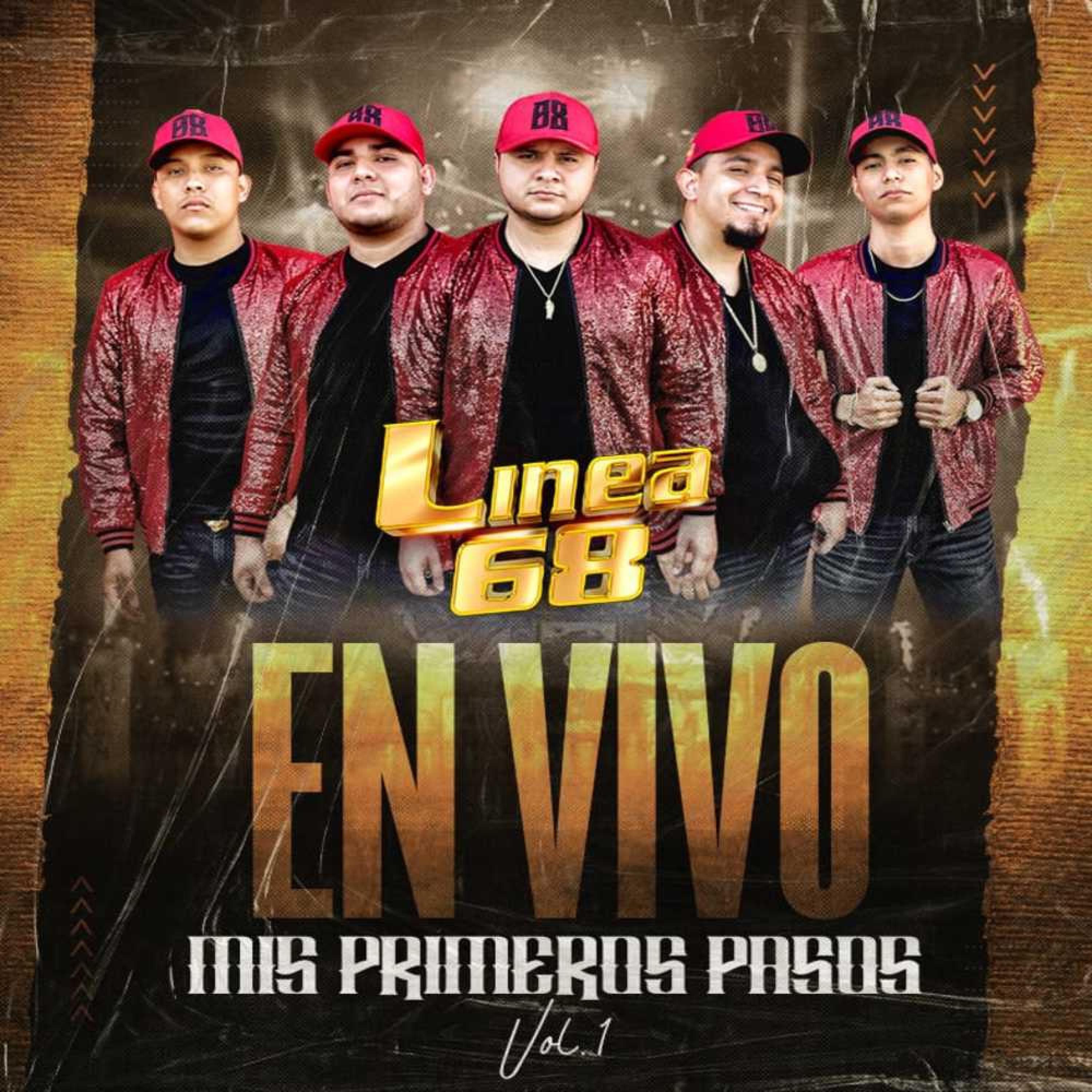 Mis Primeros Pasos, Vol. 1 (En Vivo) [En vivo] - EP