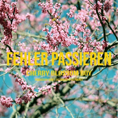 Fehler Passieren - Single