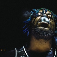 4 Tha Low - Single - JB $avage