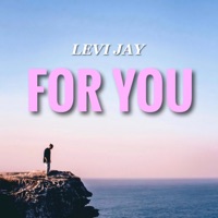 For You - Single - Levi Jay
