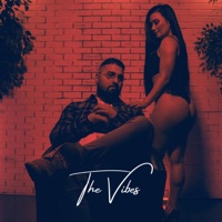 The Vibes - Single - Cristian Cartier