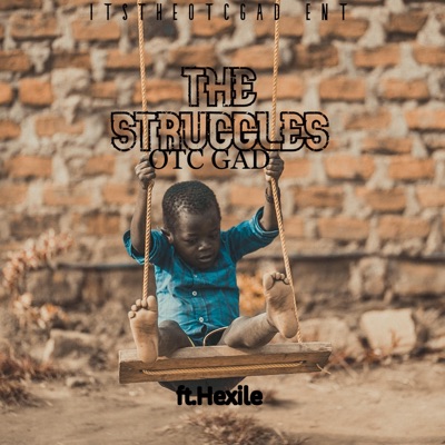 The STRUGGLES (feat. Hexile) - Single