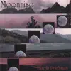 David Friedman - Dusk