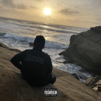 Mamba Legacy Deluxe - Brown Mamba